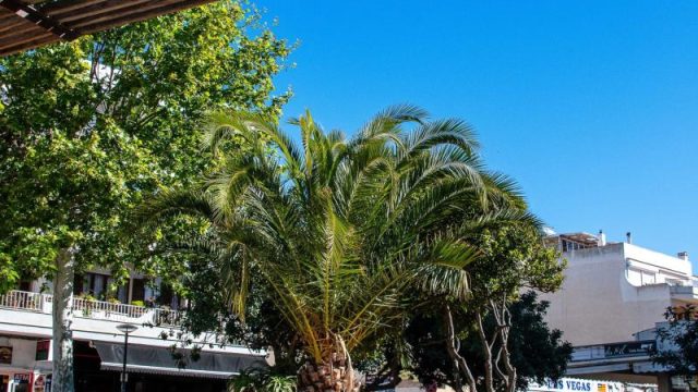 Cala Ratjada Stadt und Umgebung