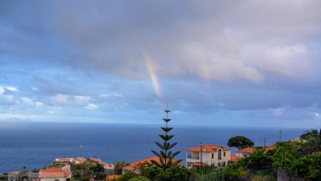 Madeira Island