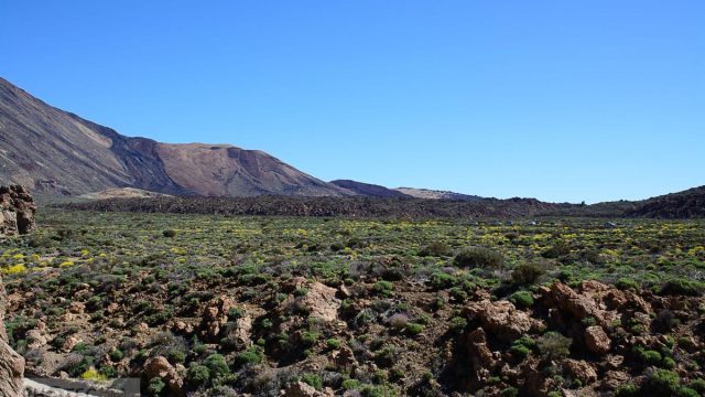 Teidenationalpark, Masca, Garachico, Puerto del la Cruz
