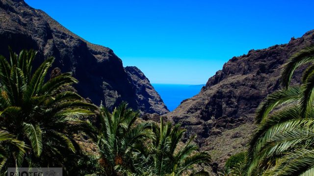 Teidenationalpark, Masca, Garachico, Puerto del la Cruz