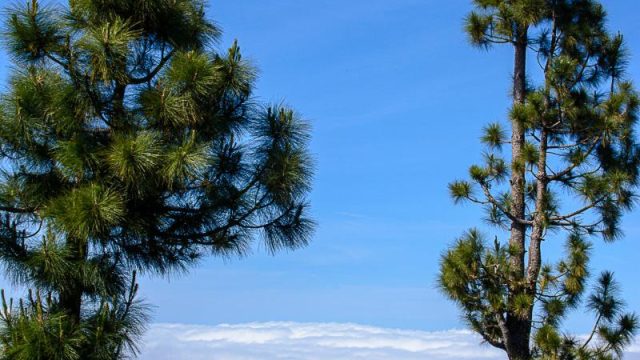 Teidenationalpark, Masca, Garachico, Puerto del la Cruz