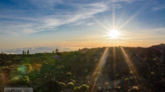 Teidenationalpark, Masca, Garachico, Puerto del la Cruz