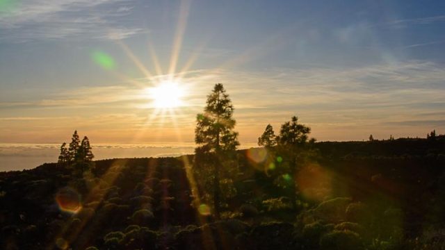 Teidenationalpark, Masca, Garachico, Puerto del la Cruz