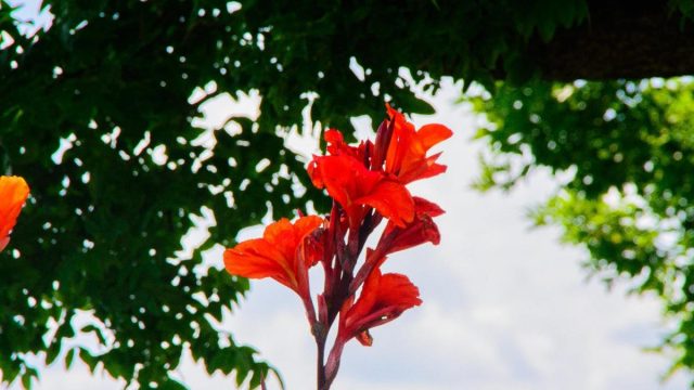 Bodensee:Überlingen