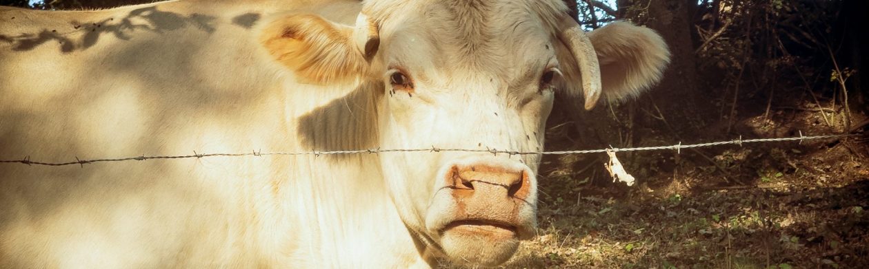 Diemelstadt-Rhoden – PhoTec Blog