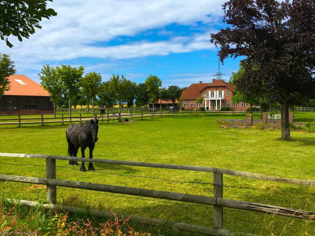 Steilküste Heiligenhafen