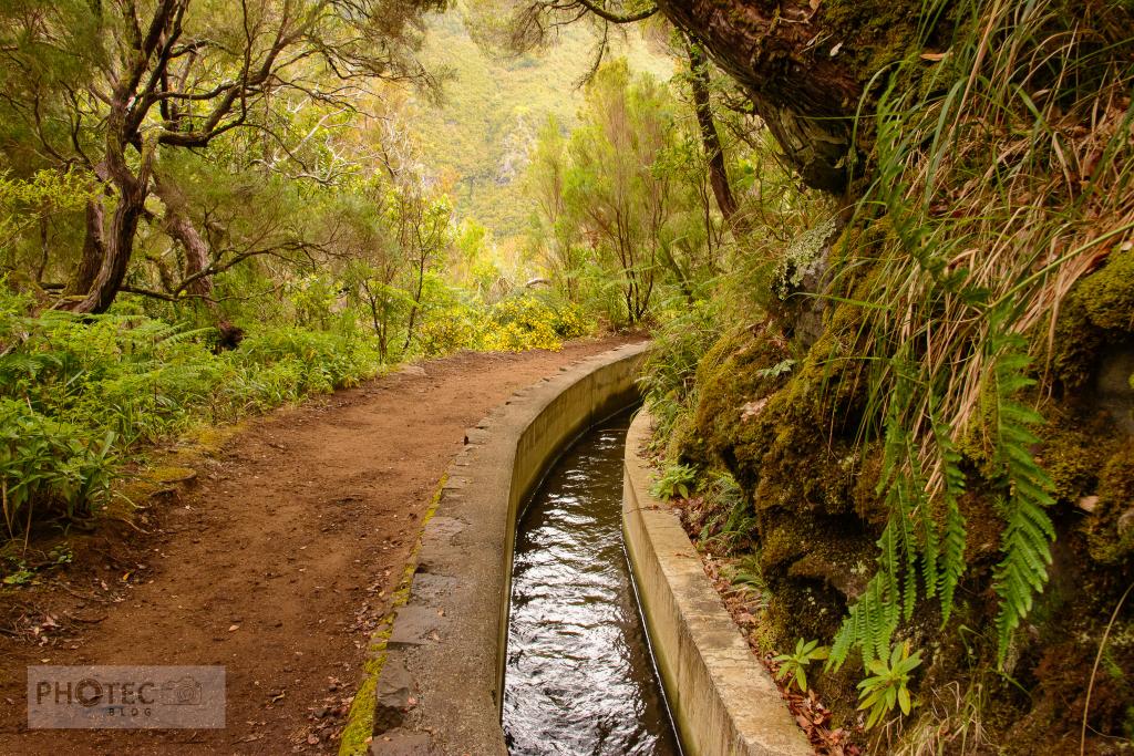 Madeira Island