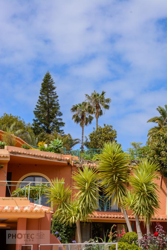 Madeira Island