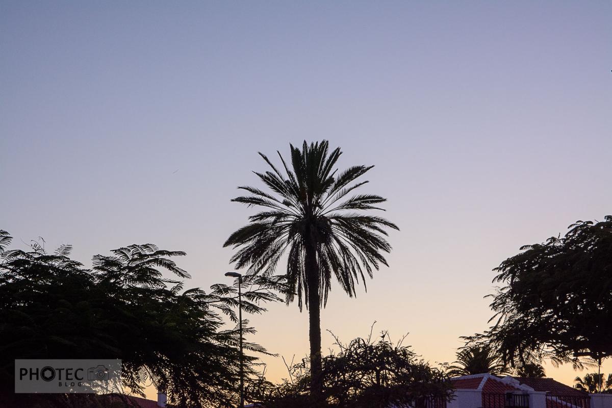 Teneriffa: Puerto del la Cruz (La Paz)