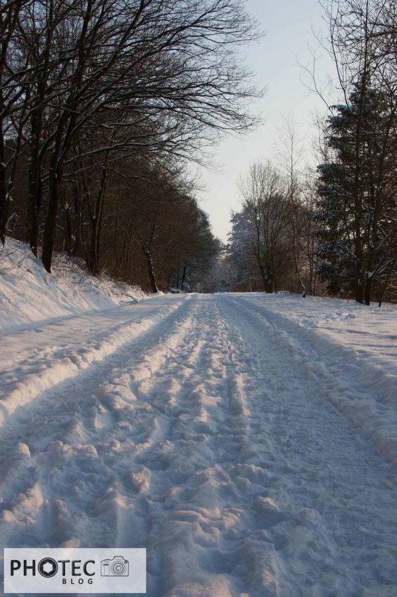 Winter 2021