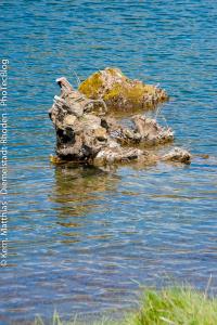 Diemelsee 2015