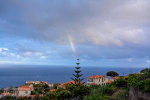 Madeira Island