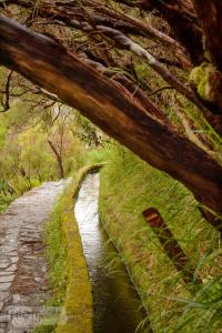 Madeira Island