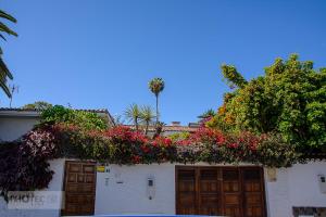 Teneriffa: Puerto del la Cruz (La Paz)