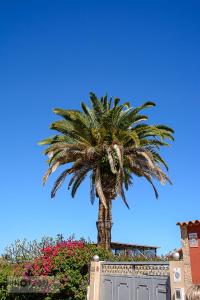 Teneriffa: Puerto del la Cruz (La Paz)