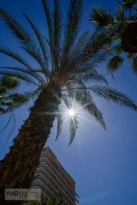 Teneriffa: Puerto del la Cruz (La Paz)