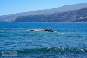 Teneriffa: Puerto del la Cruz (La Paz)