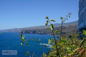 Teneriffa: Puerto del la Cruz (La Paz)