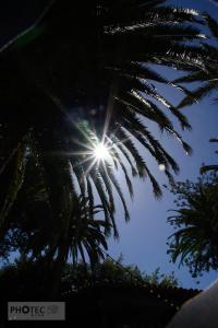 Teneriffa: Puerto del la Cruz (La Paz)