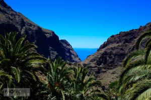 Teidenationalpark, Masca, Garachico, Puerto del la Cruz