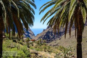 Teidenationalpark, Masca, Garachico, Puerto del la Cruz