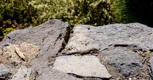 Teidenationalpark, Masca, Garachico, Puerto del la Cruz