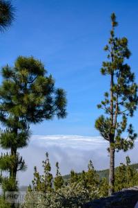Teidenationalpark, Masca, Garachico, Puerto del la Cruz