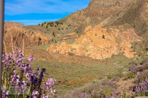 Teidenationalpark, Masca, Garachico, Puerto del la Cruz