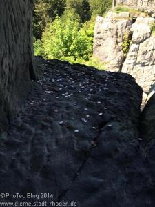 Bad Pyrmont und Umgebung