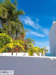 Teneriffa: Puerto del la Cruz (La Paz)