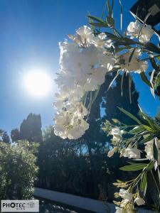 Teneriffa: Puerto del la Cruz (La Paz)