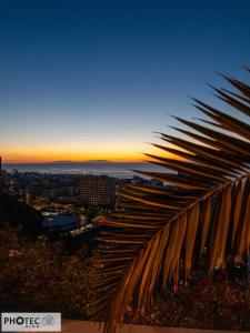 Teneriffa: Puerto del la Cruz (La Paz)