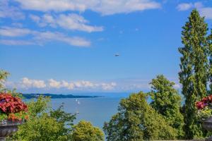 Bodensee:Mainau