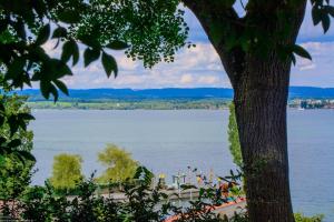 Bodensee:Mainau