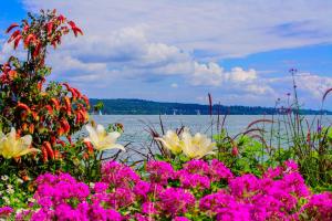 Bodensee:Mainau