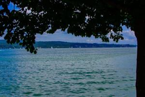 Bodensee:Mainau