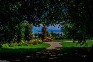 Bodensee:Mainau