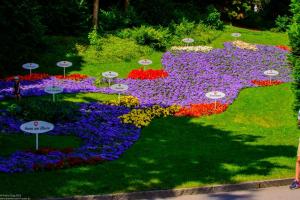 Bodensee:Mainau