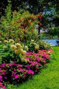 Bodensee:Mainau