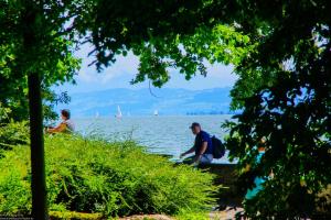Bodensee:Mainau