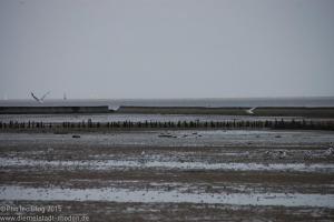 Nordsee / Neuharlingersiel 2012