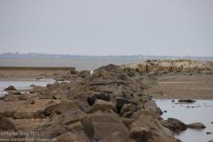 Nordsee / Neuharlingersiel 2012