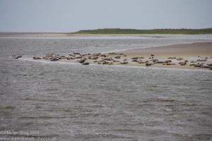 Nordsee / Neuharlingersiel 2012