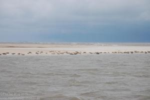 Nordsee / Neuharlingersiel 2012