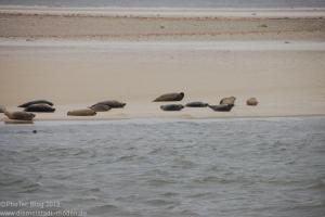 Nordsee / Neuharlingersiel 2012
