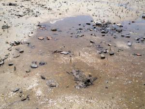 Nordsee / Neuharlingersiel 2012