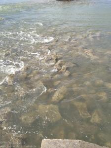 Nordsee / Neuharlingersiel 2012