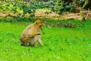 Bodensee:Unteruhldingen