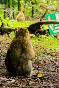 Bodensee:Unteruhldingen