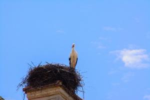 Bodensee:Unteruhldingen